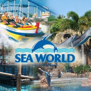 seaworld_877