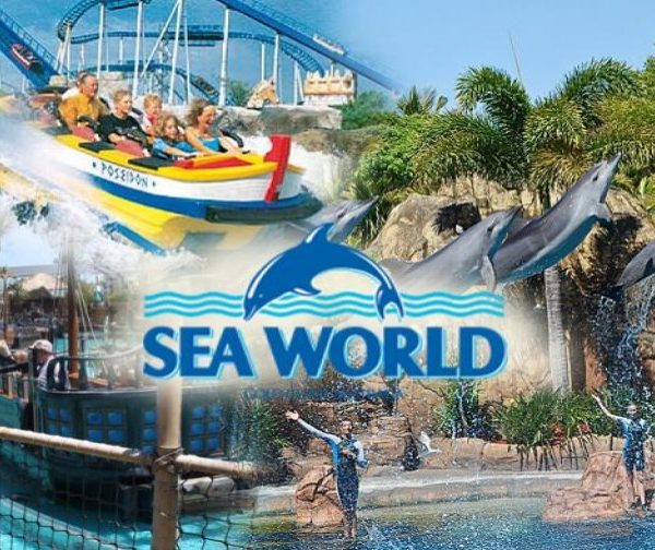 seaworld_877